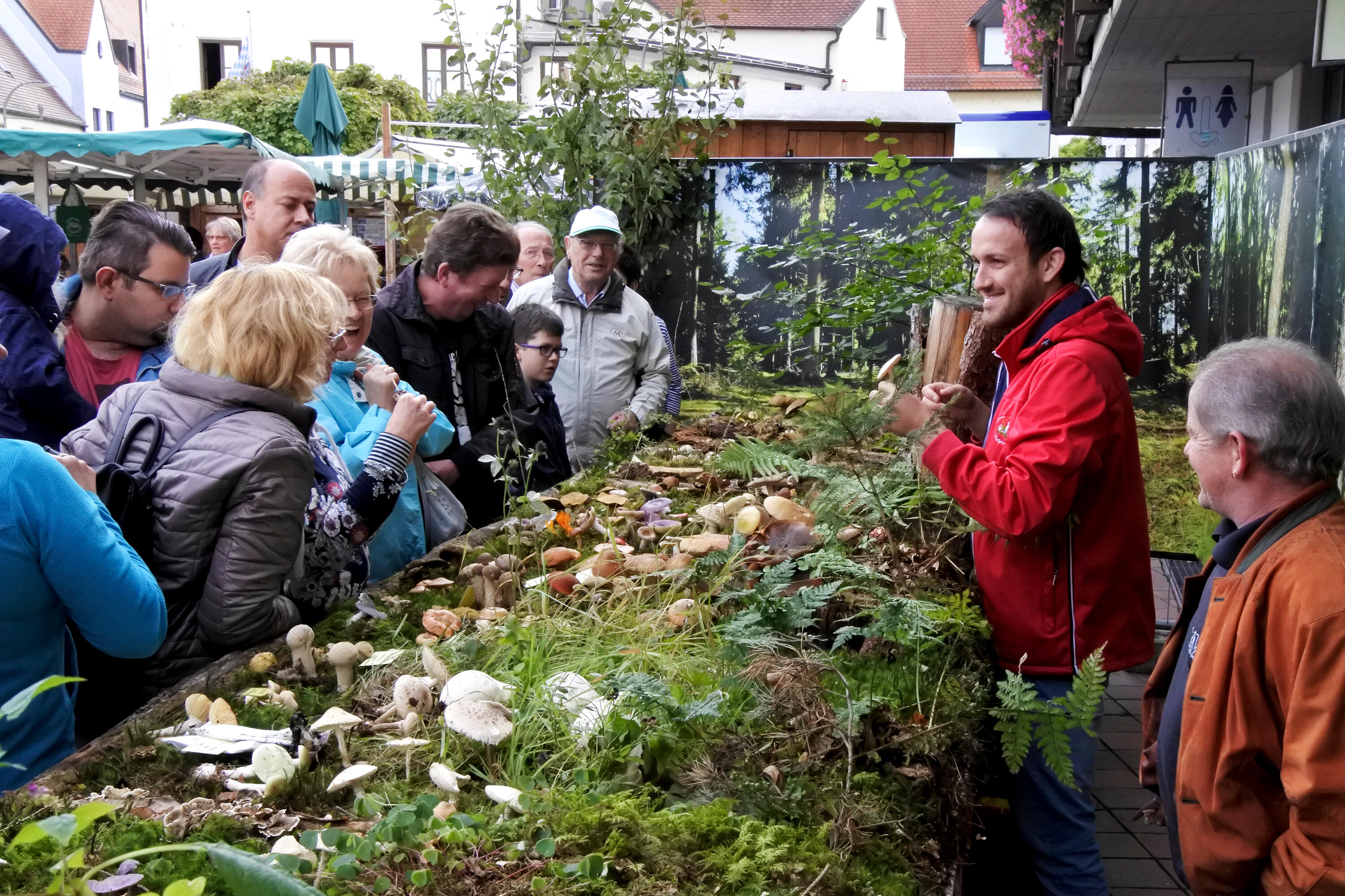 pilzberatung-am-wochenmarkt