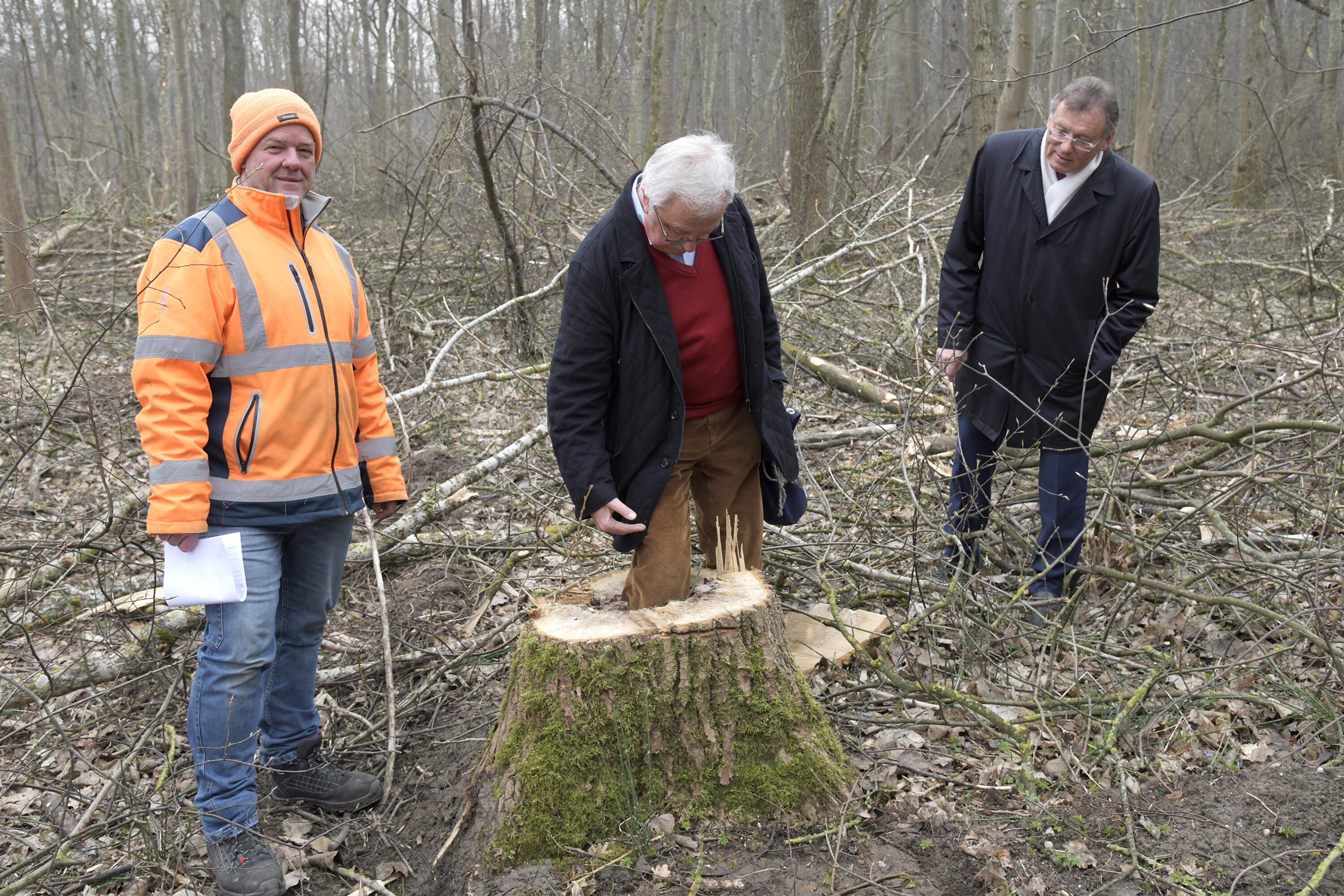 Vor Ort überzeugten sich Oberbürgermeister Bernhard Gmehling, Grün- und Umlandreferent Alfred Hornung und der Leiter der Stadtgärtnerei, Uwe Johannsen (v.r.n.l.), von den durchgeführten Verkehrssicherungsmaßnahmen.