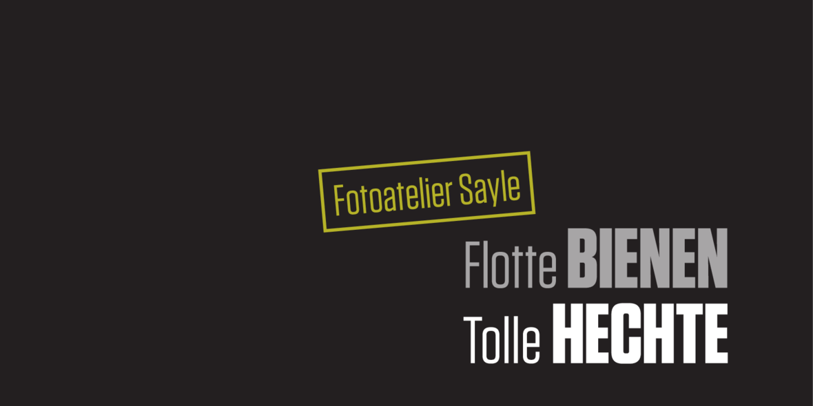 flotte-bienen-tolle-hechte